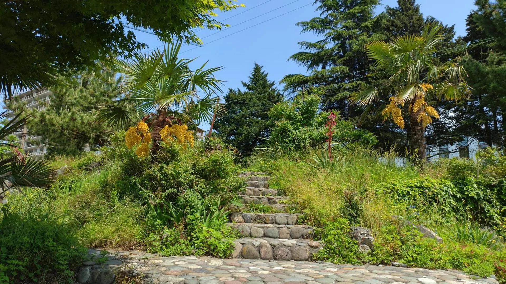 Holiday In Makhindjauri Batumi